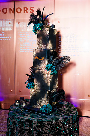 0099__8-2-25_Damien-Dwin-Celebration-National-Museum-of-African-American-Museum-Washington-DC-event-Rodney-Bailey-Photography
