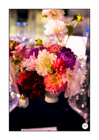 0012__Chantilly-Virginia-photographers-Conference-photography-event-photographer