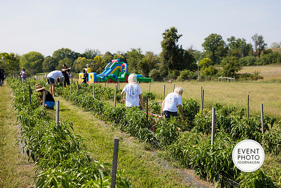 0264__9-14-24-Chartis-Federal-Corporate-Family-Day-JK-Farm-Purceville-Virginia-EventPhotojournalism-event-photographers