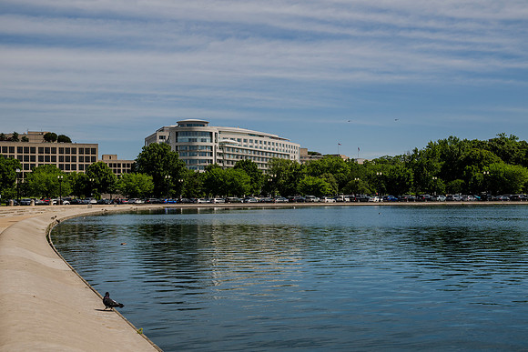 RZ8_7275