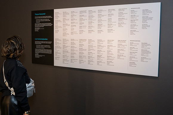 0096__12-13-24_Smithsonian-National-Museum-of-African-Art-Makonnen-Exhibit-EventPhotojournalism-photographers