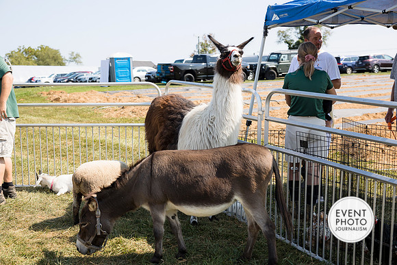0470__9-14-24-Chartis-Federal-Corporate-Family-Day-JK-Farm-Purceville-Virginia-EventPhotojournalism-event-photographers