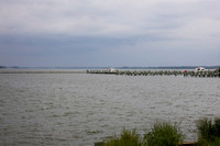0004__7-31-25_Bain-&-Company_Summer-Offsite-Hyatt-Regency-Chesapeake-Bay-Event-Photojournalism
