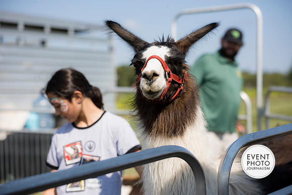 0467__9-14-24-Chartis-Federal-Corporate-Family-Day-JK-Farm-Purceville-Virginia-EventPhotojournalism-event-photographers