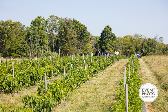 0354__9-14-24-Chartis-Federal-Corporate-Family-Day-JK-Farm-Purceville-Virginia-EventPhotojournalism-event-photographers
