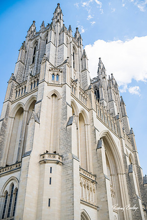 0001_DECOR__6-13-2024_No-Kid-Hungry-DC-Donor-Dinner-national-Cathedral-Washington-DC-Rodney-Bailey-Photography-event-photographers