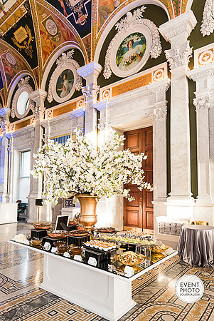 Library-of-Congress-Building-DC-event-photographer-Event-Photojournalism__0003