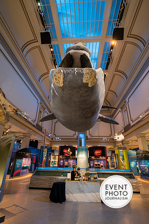 0121__12-8-22_Venture-Global-Holiday-Party-National-Museum-of-Natural-History-Washington-DC-EventPhotojournalism-event-photographers