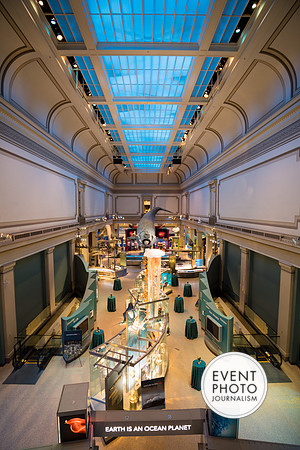 0039__12-8-22_Venture-Global-Holiday-Party-National-Museum-of-Natural-History-Washington-DC-EventPhotojournalism-event-photographers