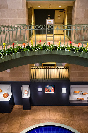 0129_9-27-25_Smithsonian-National-Museum-of-African-Art-Community-Day-DC_Event-Photojournalism-photographers