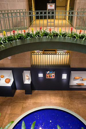 0130_9-27-25_Smithsonian-National-Museum-of-African-Art-Community-Day-DC_Event-Photojournalism-photographers
