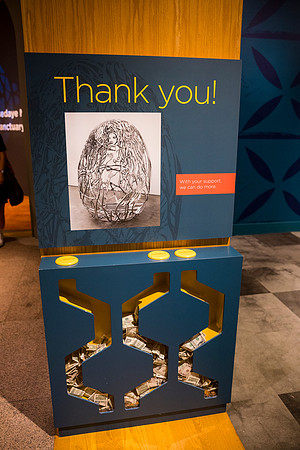 0194_9-27-25_Smithsonian-National-Museum-of-African-Art-Community-Day-DC_Event-Photojournalism-photographers
