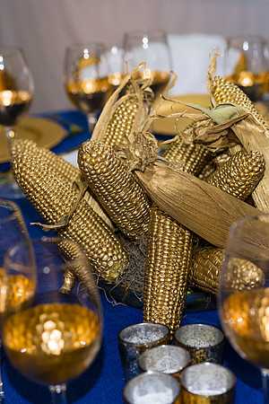 0016_9-26-25_Smithsonian-American-Art-Director-Circle-Dinner-Renwick-Gallery-DC_Event-Photojournalism-photographers