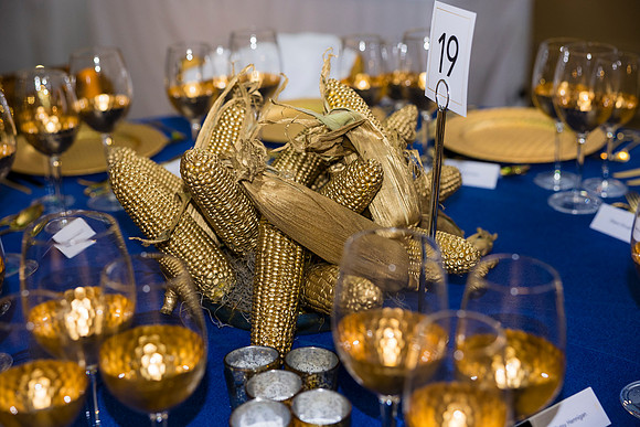 0015_9-26-25_Smithsonian-American-Art-Director-Circle-Dinner-Renwick-Gallery-DC_Event-Photojournalism-photographers