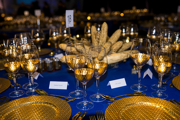 0023_9-26-25_Smithsonian-American-Art-Director-Circle-Dinner-Renwick-Gallery-DC_Event-Photojournalism-photographers