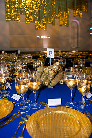 0029_9-26-25_Smithsonian-American-Art-Director-Circle-Dinner-Renwick-Gallery-DC_Event-Photojournalism-photographers