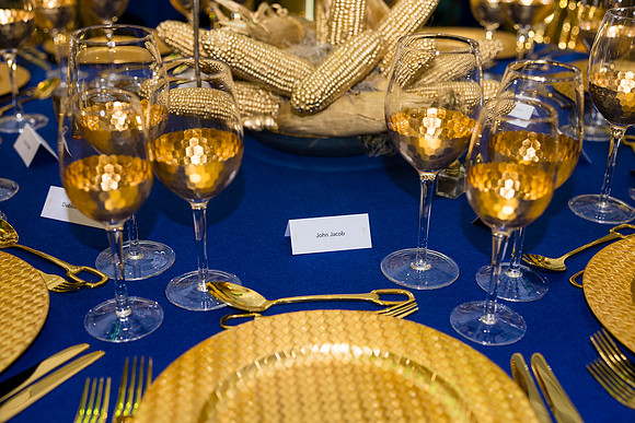 0048_9-26-25_Smithsonian-American-Art-Director-Circle-Dinner-Renwick-Gallery-DC_Event-Photojournalism-photographers