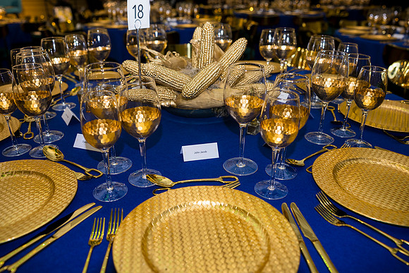 0049_9-26-25_Smithsonian-American-Art-Director-Circle-Dinner-Renwick-Gallery-DC_Event-Photojournalism-photographers