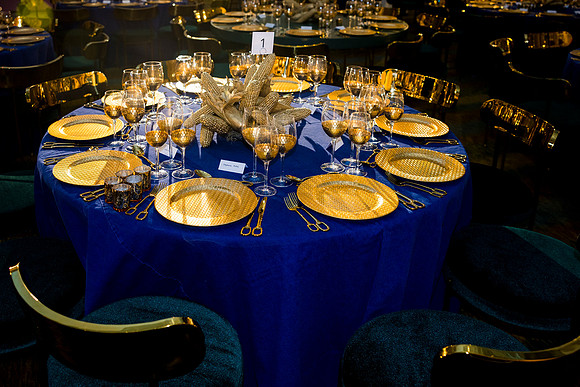 0055_9-26-25_Smithsonian-American-Art-Director-Circle-Dinner-Renwick-Gallery-DC_Event-Photojournalism-photographers