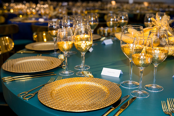 0058_9-26-25_Smithsonian-American-Art-Director-Circle-Dinner-Renwick-Gallery-DC_Event-Photojournalism-photographers