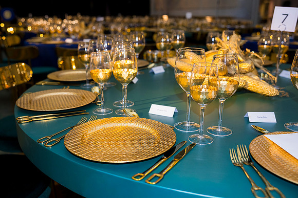 0057_9-26-25_Smithsonian-American-Art-Director-Circle-Dinner-Renwick-Gallery-DC_Event-Photojournalism-photographers