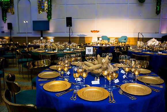 0066_9-26-25_Smithsonian-American-Art-Director-Circle-Dinner-Renwick-Gallery-DC_Event-Photojournalism-photographers