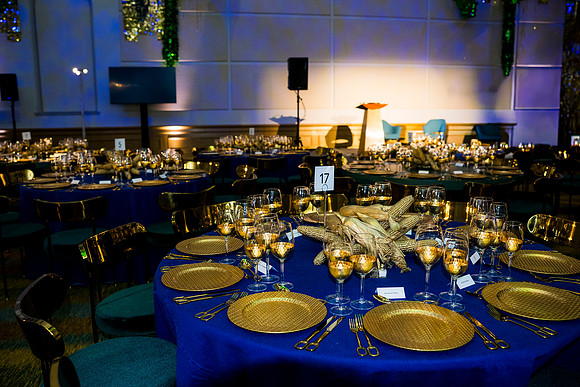 0067_9-26-25_Smithsonian-American-Art-Director-Circle-Dinner-Renwick-Gallery-DC_Event-Photojournalism-photographers