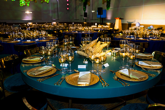 0102_9-26-25_Smithsonian-American-Art-Director-Circle-Dinner-Renwick-Gallery-DC_Event-Photojournalism-photographers