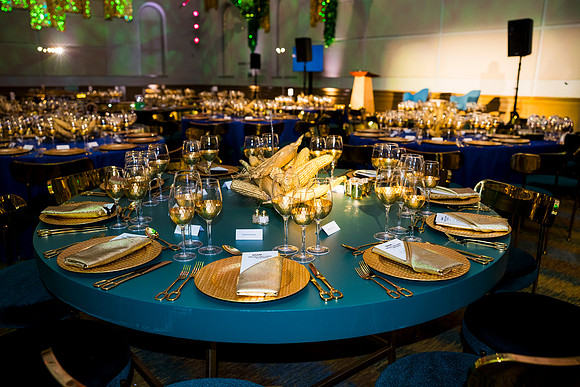 0103_9-26-25_Smithsonian-American-Art-Director-Circle-Dinner-Renwick-Gallery-DC_Event-Photojournalism-photographers