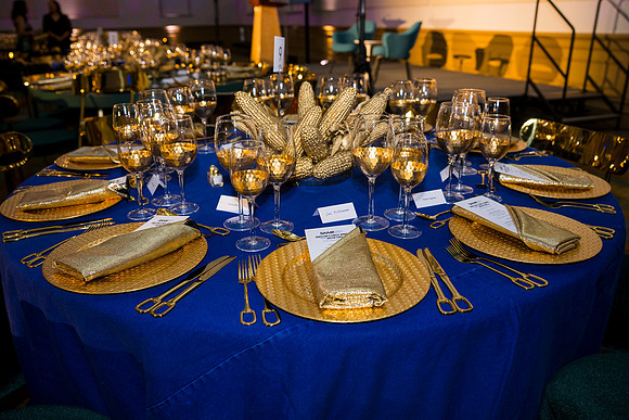 0117_9-26-25_Smithsonian-American-Art-Director-Circle-Dinner-Renwick-Gallery-DC_Event-Photojournalism-photographers