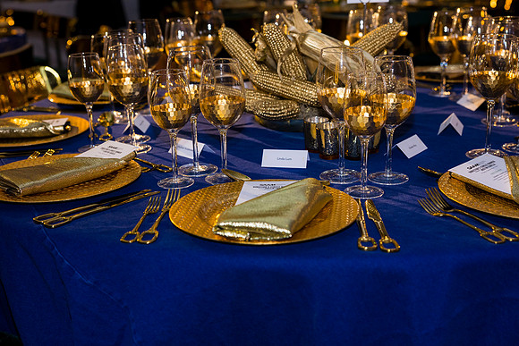 0118_9-26-25_Smithsonian-American-Art-Director-Circle-Dinner-Renwick-Gallery-DC_Event-Photojournalism-photographers