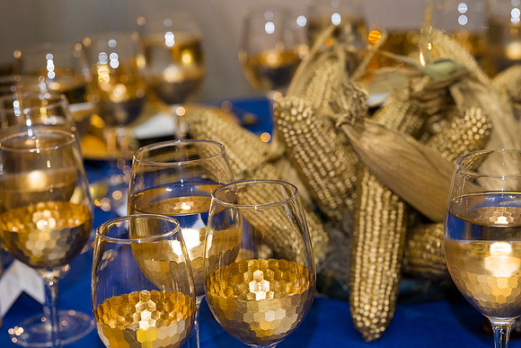 0213_9-26-25_Smithsonian-American-Art-Director-Circle-Dinner-Renwick-Gallery-DC_Event-Photojournalism-photographers