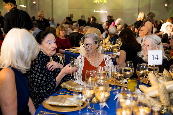0267_9-26-25_Smithsonian-American-Art-Director-Circle-Dinner-Renwick-Gallery-DC_Event-Photojournalism-photographers