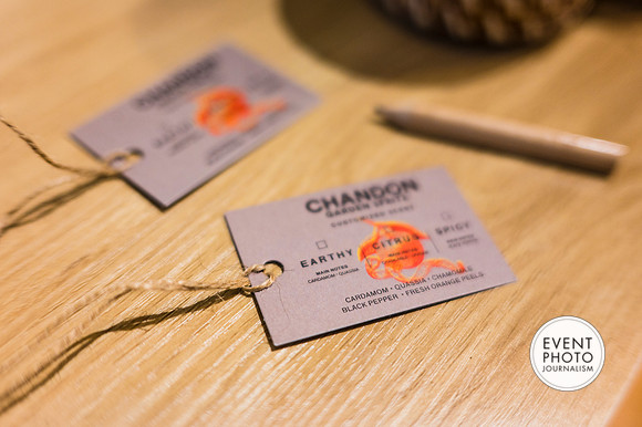 0212__6-11-22__PSP-Media-Chandon-Garden-Spritz-Georgetown-EventPhotojournalism-event-photographers-DC