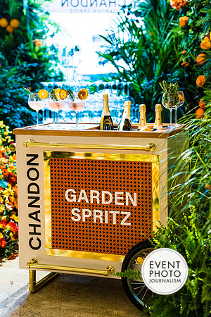 0249__6-11-22__PSP-Media-Chandon-Garden-Spritz-Georgetown-EventPhotojournalism-event-photographers-DC