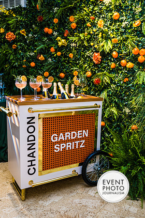 0239__6-11-22__PSP-Media-Chandon-Garden-Spritz-Georgetown-EventPhotojournalism-event-photographers-DC