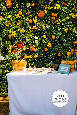 0172__6-11-22__PSP-Media-Chandon-Garden-Spritz-Georgetown-EventPhotojournalism-event-photographers-DC