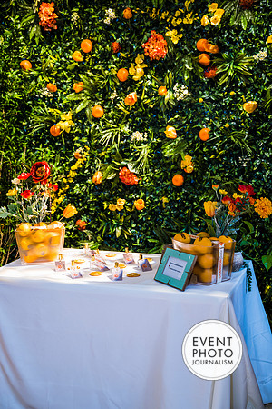 0173__6-11-22__PSP-Media-Chandon-Garden-Spritz-Georgetown-EventPhotojournalism-event-photographers-DC