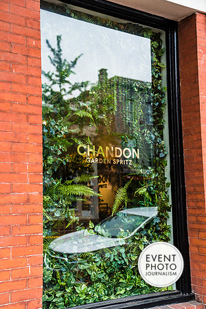 0377__6-11-22__PSP-Media-Chandon-Garden-Spritz-Georgetown-EventPhotojournalism-event-photographers-DC