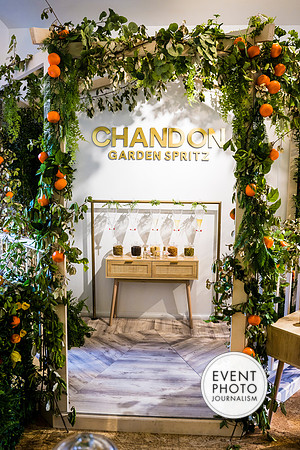 0457__6-11-22__PSP-Media-Chandon-Garden-Spritz-Georgetown-EventPhotojournalism-event-photographers-DC