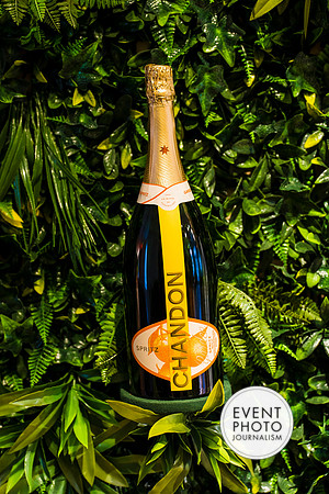 0290__6-11-22__PSP-Media-Chandon-Garden-Spritz-Georgetown-EventPhotojournalism-event-photographers-DC