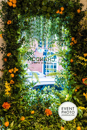 0422__6-11-22__PSP-Media-Chandon-Garden-Spritz-Georgetown-EventPhotojournalism-event-photographers-DC