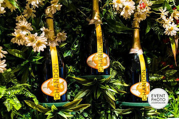 0265__6-11-22__PSP-Media-Chandon-Garden-Spritz-Georgetown-EventPhotojournalism-event-photographers-DC