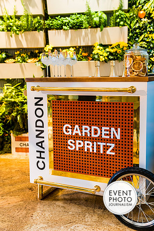 0435__6-11-22__PSP-Media-Chandon-Garden-Spritz-Georgetown-EventPhotojournalism-event-photographers-DC
