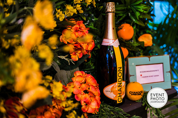 0005__6-11-22__PSP-Media-Chandon-Garden-Spritz-Georgetown-EventPhotojournalism-event-photographers-DC