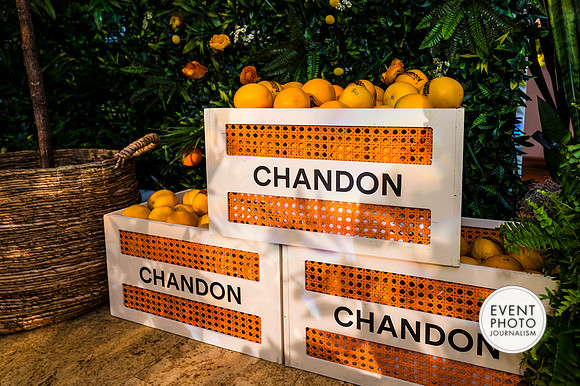 0124__6-11-22__PSP-Media-Chandon-Garden-Spritz-Georgetown-EventPhotojournalism-event-photographers-DC