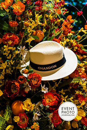 0266__6-11-22__PSP-Media-Chandon-Garden-Spritz-Georgetown-EventPhotojournalism-event-photographers-DC