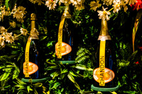 0001__6-11-22__PSP-Media-Chandon-Garden-Spritz-Georgetown-EventPhotojournalism-event-photographers-DC