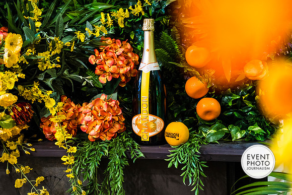 0325__6-11-22__PSP-Media-Chandon-Garden-Spritz-Georgetown-EventPhotojournalism-event-photographers-DC