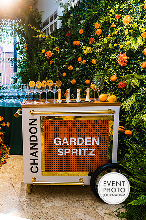 0127__6-11-22__PSP-Media-Chandon-Garden-Spritz-Georgetown-EventPhotojournalism-event-photographers-DC